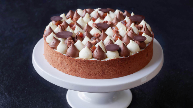 tiramisu cake on cake stand