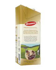 Avonmore professional whipping cream side of carton