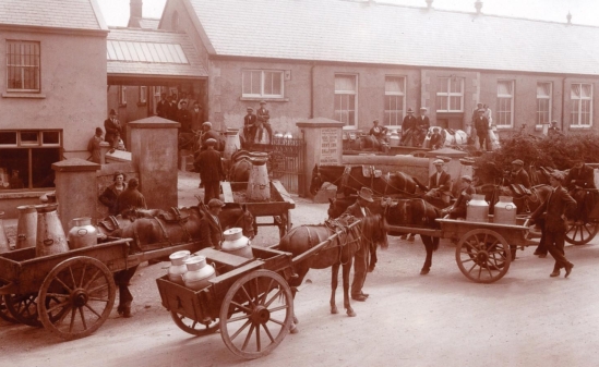 Back and white photograph of milk barrles pulled by horse and cart