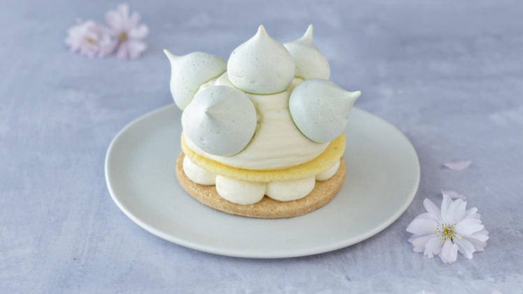 Apple and Vanilla Vacherin Landscape