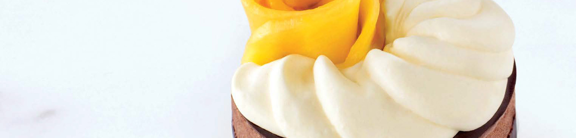 Mango Chocolate Mousse Landscape