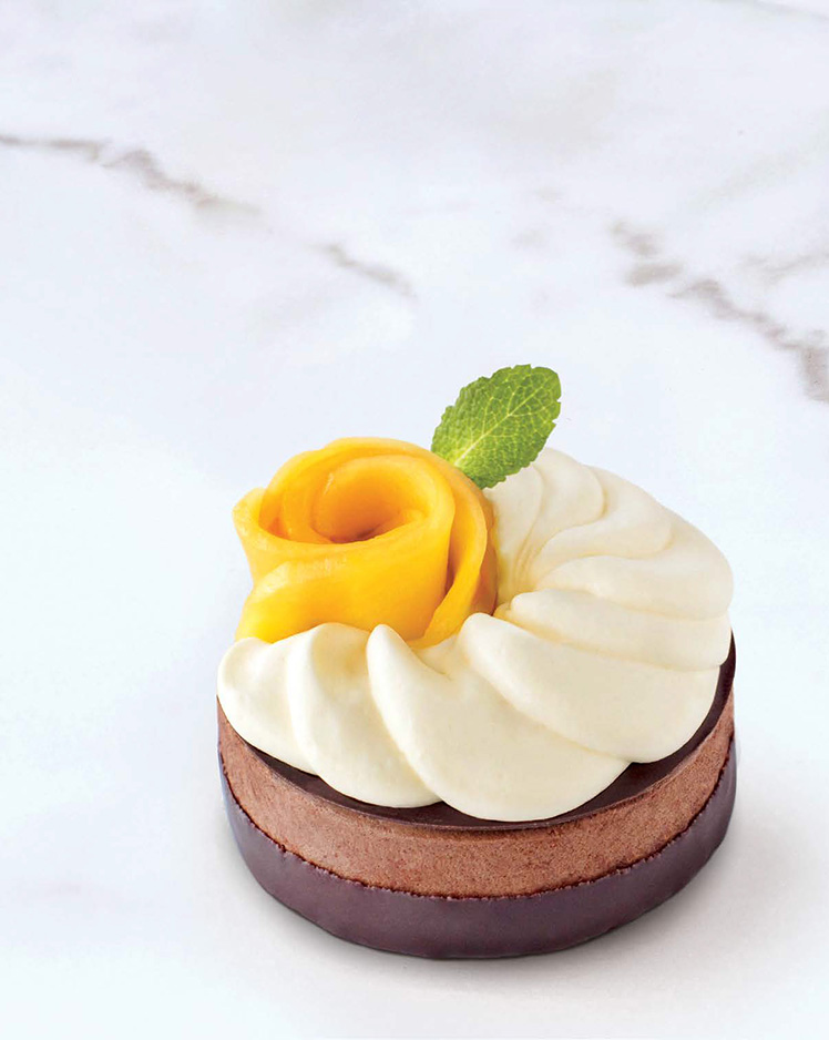 Mango Chocolate Mousse Portrait